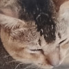 源苍阳