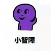 弱智