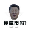 大撒币