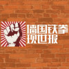 墙国铁拳现世报