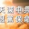 退葱声明