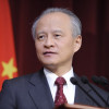 崔天凯
