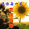 美文选读